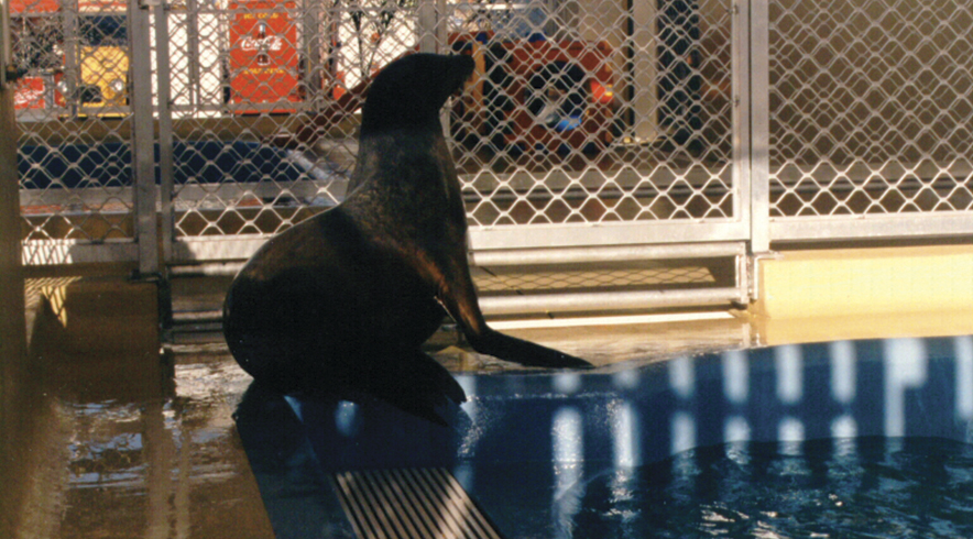 hydrocare_waterzone3